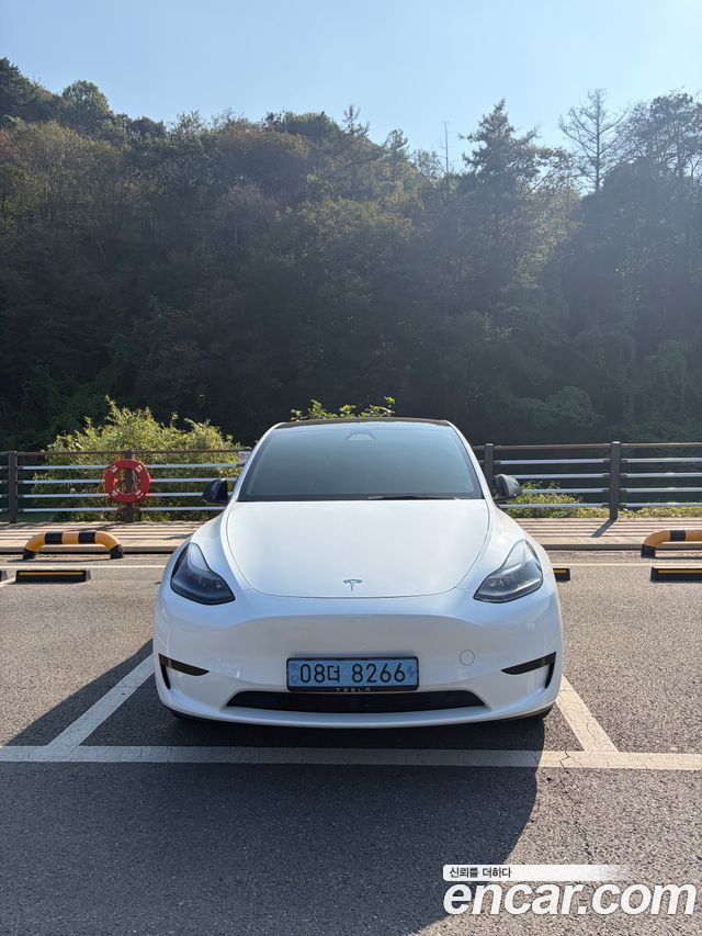 Tesla Model Y из Кореи Encar