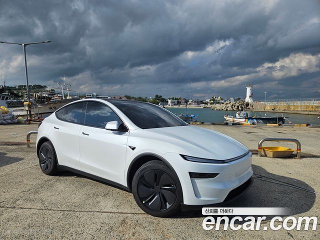 Tesla Model Y Long Range AWD — пробег 31 000 км — фото 1 из 5