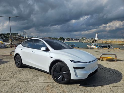 Tesla Model Y Long Range AWD — пробег 31 000 км — фото 1 из 5