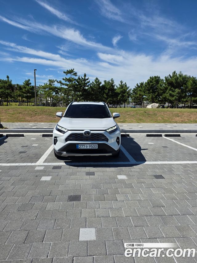 Toyota RAV4 2,5 4WD Hybrid LTD — пробег 16 670 км — фото 5 из 5