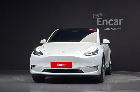 Tesla Model Y Long Range AWD — пробег 157 532 км — фото 3 из 5