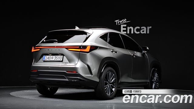 Lexus NX Luxury — пробег 23 857 км — фото 2 из 5
