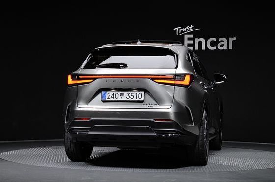Lexus NX Luxury — пробег 23 857 км — фото 4 из 5