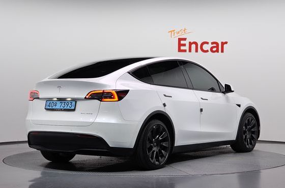 Tesla Model Y Long Range AWD — пробег 99 106 км — фото 2 из 5