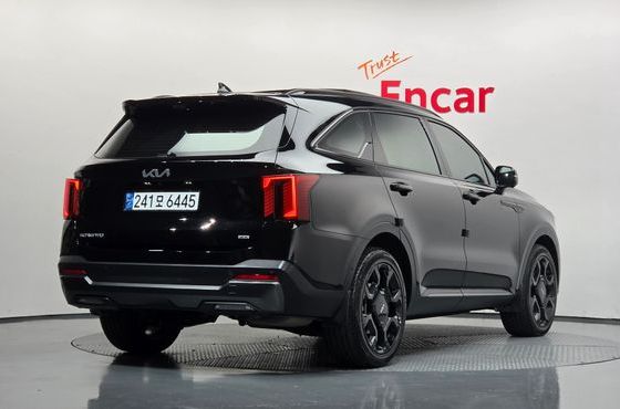 Kia Sorento Gasoline 2.5T 4WD Gravity — пробег 22 095 км — фото 2 из 5