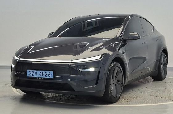 Tesla Model Y Premium Long Range AWD — пробег 17 105 км — фото 1 из 5
