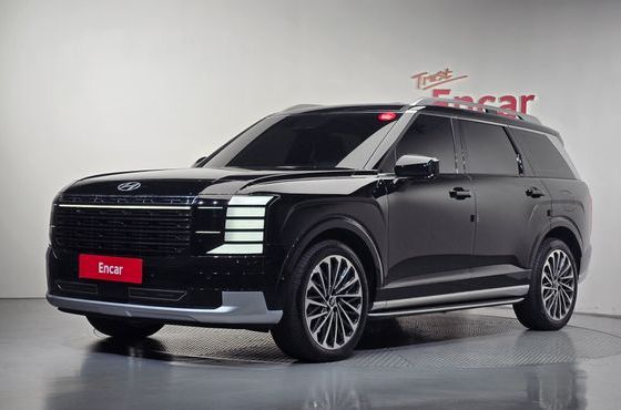 Hyundai Palisade Gasoline 2.5T 4WD 9-Seater Calligraphy — пробег 30 019 км — фото 1 из 5