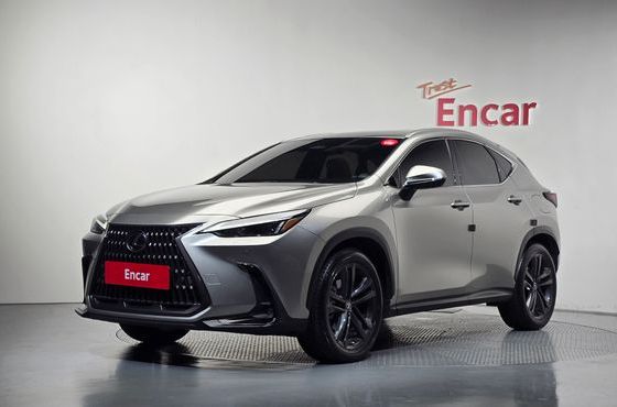 Lexus NX Premium — пробег 13 959 км — фото 1 из 5