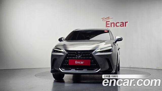 Lexus NX Premium — пробег 13 959 км — фото 3 из 5