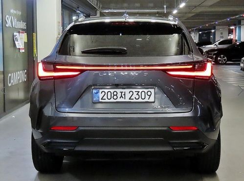 Lexus NX Premium — пробег 23 890 км — фото 5 из 5