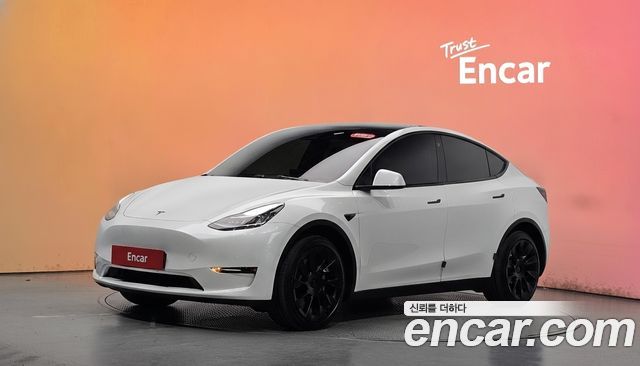Tesla Model Y Long Range AWD — пробег 81 903 км — фото 1 из 5