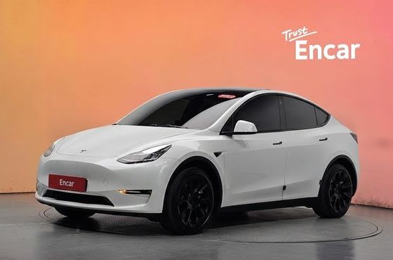 Tesla Model Y Long Range AWD — пробег 81 903 км — фото 1 из 5