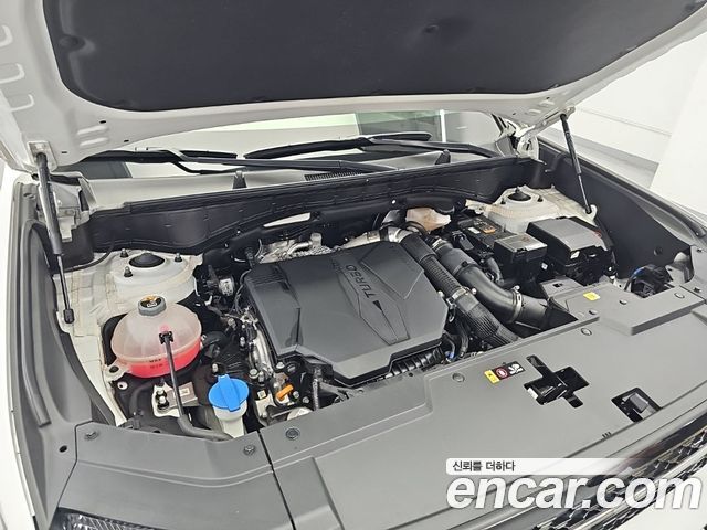 Hyundai Santafe Gasoline 2.5T 4WD Calligraphy — пробег 19 228 км — фото 5 из 5