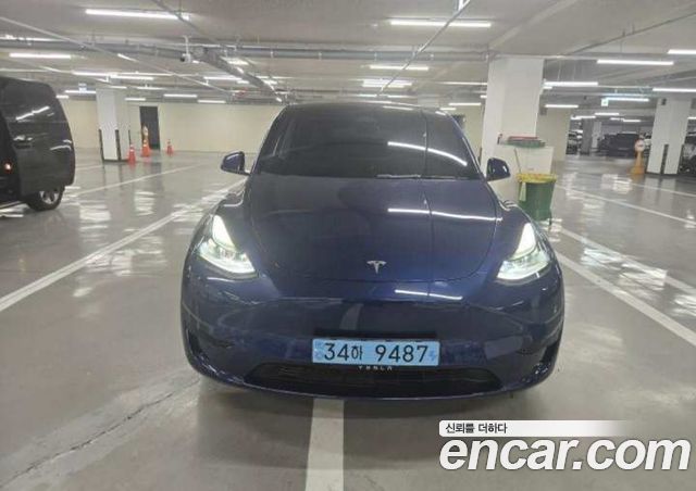 Tesla Model Y RWD — пробег 42 783 км — фото 1 из 5