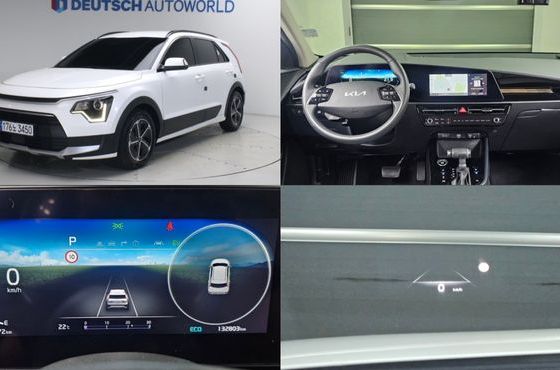 Kia Niro Prestige — пробег 132 798 км — фото 1 из 5