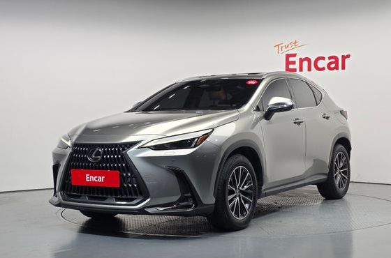 Lexus NX Premium — пробег 39 738 км — фото 1 из 5