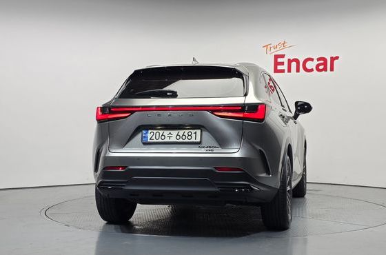Lexus NX Premium — пробег 39 738 км — фото 4 из 5