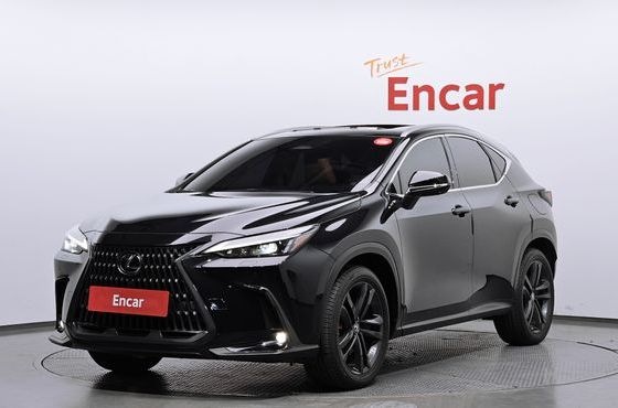 Lexus NX Premium — пробег 30 622 км — фото 1 из 5