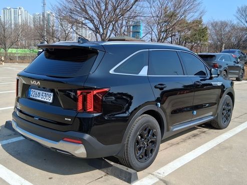 Kia Sorento HEV 1.6 2WD Noblesse — пробег 8 500 км — фото 5 из 5