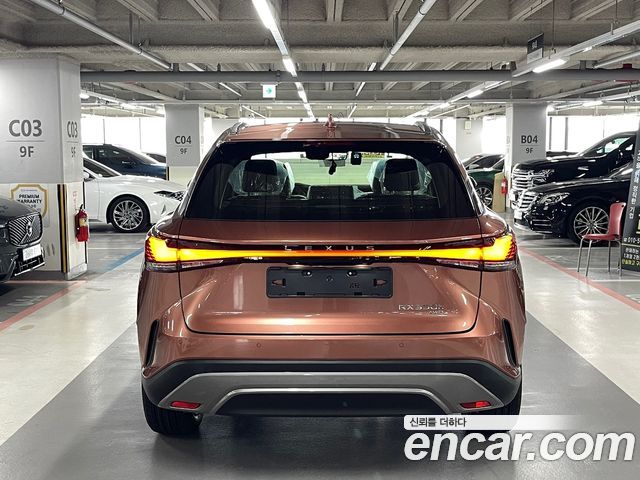 Lexus RX Luxury — пробег 9 км — фото 3 из 5