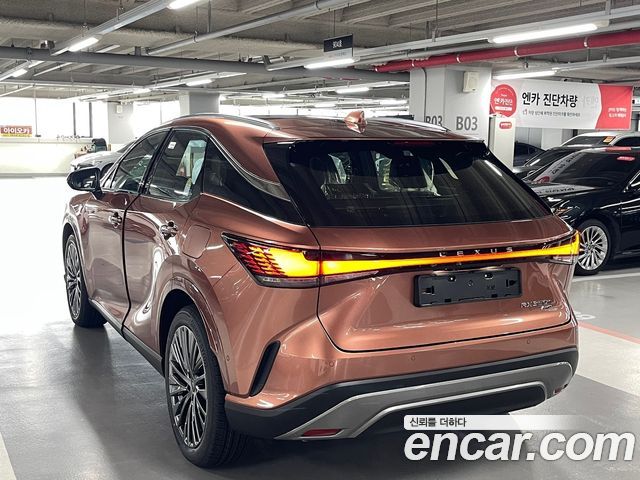 Lexus RX Luxury — пробег 9 км — фото 5 из 5