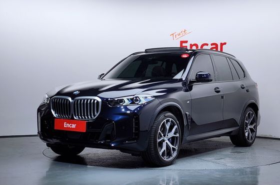 BMW X5 xDrive 40i M Sport — пробег 15 360 км — фото 1 из 5