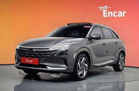 Hyundai Nexo Premium — пробег 63 465 км — фото 1 из 5