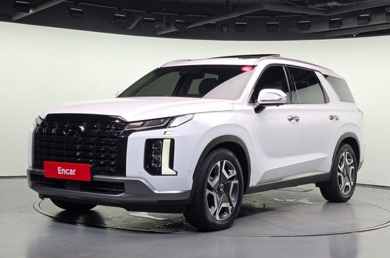 Hyundai Palisade Diesel 2.2 2WD Le Blanc — пробег 151 553 км — фото 1 из 5