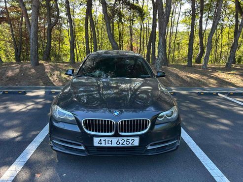 BMW 5-Series 520d xDrive — пробег 230 000 км — фото 1 из 5