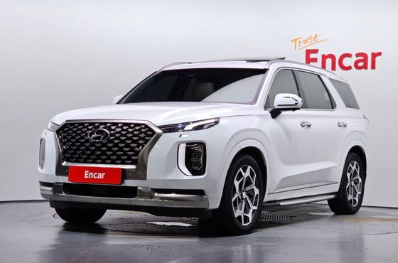 Hyundai Palisade Diesel 2.2 4WD VIP — пробег 38 219 км — фото 1 из 5