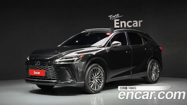 Lexus RX Luxury — пробег 42 377 км — фото 1 из 5