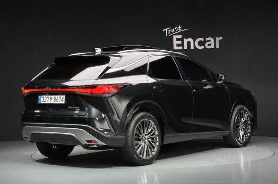 Lexus RX Luxury — пробег 42 377 км — фото 2 из 5