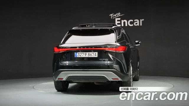 Lexus RX Luxury — пробег 42 377 км — фото 4 из 5