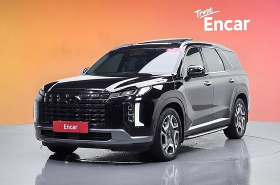 Hyundai Palisade Gasoline 3.8 4WD Le Blanc — пробег 61 775 км — фото 1 из 5