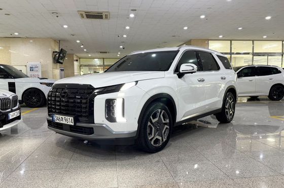 Hyundai Palisade Gasoline 3.8 2WD Le Blanc — пробег 13 181 км — фото 1 из 5
