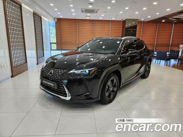 Lexus UX 2.0 2WD — пробег 4 208 км — фото 1 из 5