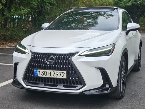 Lexus NX Luxury — пробег 50 526 км — фото 2 из 5