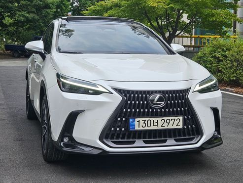 Lexus NX Luxury — пробег 50 526 км — фото 3 из 5