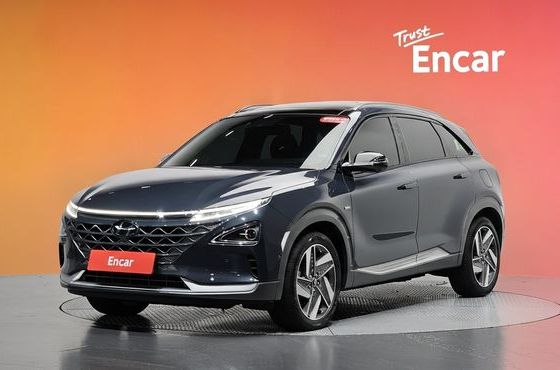 Hyundai Nexo Premium — пробег 47 831 км — фото 1 из 5