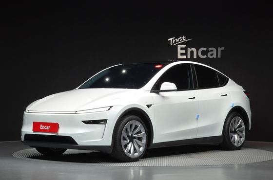 Tesla Model Y Long Range AWD — пробег 24 884 км — фото 1 из 5