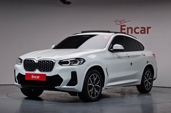 BMW X4 xDrive20i M Sport — пробег 52 532 км — фото 1 из 5