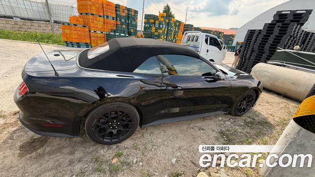 Ford Mustang Convertible — пробег 61 000 км — фото 2 из 4