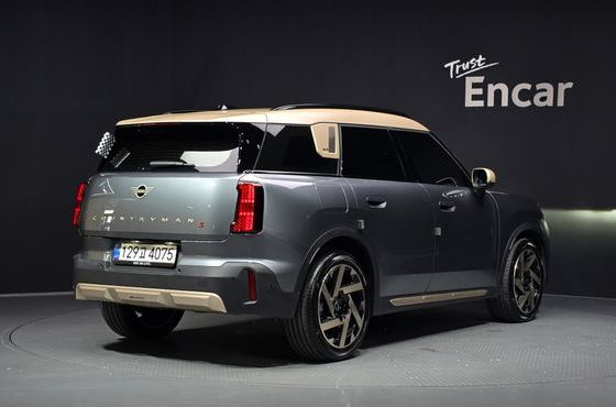 Mini Countryman ALL4 Favoured — пробег 17 628 км — фото 2 из 5
