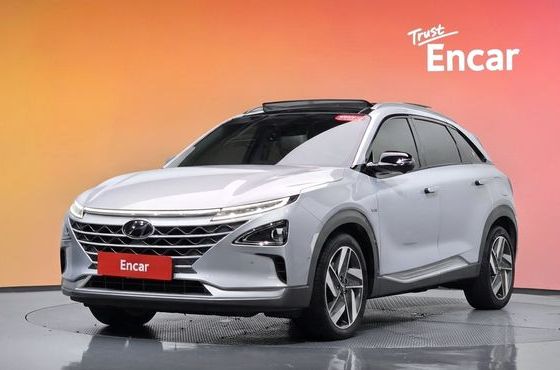 Hyundai Nexo Premium — пробег 136 851 км — фото 1 из 5