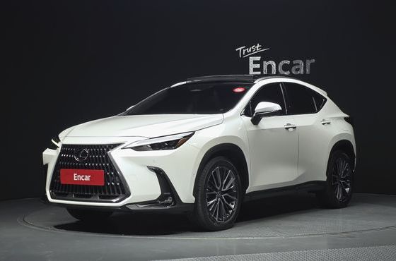 Lexus NX Luxury — пробег 42 607 км — фото 1 из 5