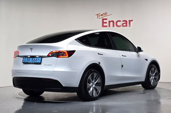 Tesla Model Y Long Range AWD — пробег 43 434 км — фото 2 из 5