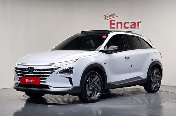 Hyundai Nexo Premium — пробег 37 003 км — фото 1 из 5