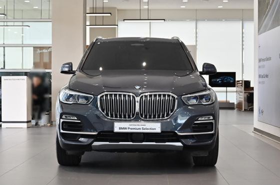 BMW X5 xDrive 40i xLine — пробег 82 803 км — фото 3 из 5