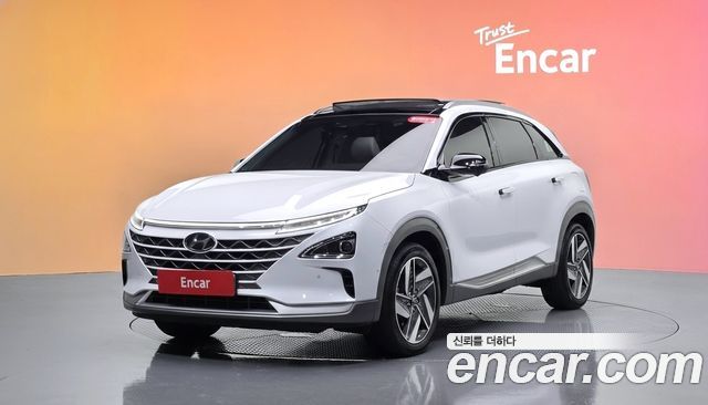 Hyundai Nexo Premium — пробег 47 622 км — фото 1 из 5