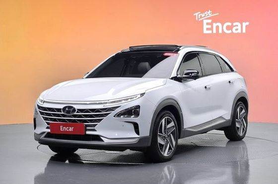 Hyundai Nexo Premium — пробег 47 622 км — фото 1 из 5